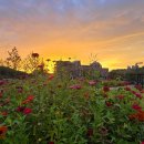 도도리저수지 이미지