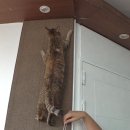 성한농장 이미지