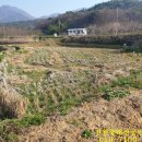 덕주농장 이미지