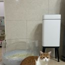 디룸 이미지