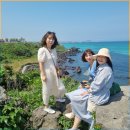 제주박 이미지