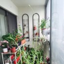 트루잉글리쉬