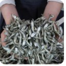 남산 소월길에서 산책길에 보게 되는 '밤'('멸치'가 생각나는 이유)에 대한 옛추억(?) 이미지