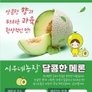 시우네농장 네이버블로그