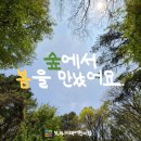 미래숲어린이집 이미지