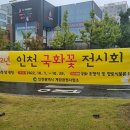 금꽃공인중개사사무소 이미지