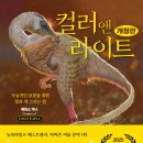 마이 캔버스 스토리 이미지