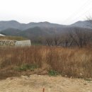 금산토지홍삼