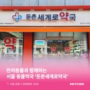 둔촌세계로약국 네이버블로그
