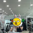케어핏 이미지