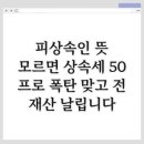 법대상회 | 피상속인 뜻, 모르면 상속세 50프로 폭탄 맞고 전재산 날립니다