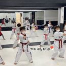 THE바른태권도 이미지