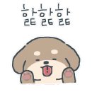 멍줍강아지산책유치원 이미지