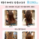 헤어망고 이미지