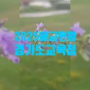 강천초걸은분교장 | 경기도교육청 폐교 현황(2025. 3. 1 기준) 입니다.