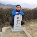 선달바우 이미지