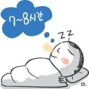 바른체육관 이미지