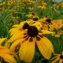 신우민박 이미지