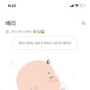 애드하우스 이미지