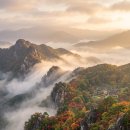 석지축산 네이버블로그