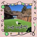 적량면 | 하동 구재봉자연휴양림 애견동반 숙소 후기