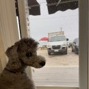 조아펜션 이미지