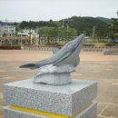 대진민박 이미지