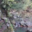 제주미당 이미지