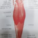 한마음정안한의원 이미지