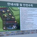 청도 신상 글램핑 소꿉놀이 글램핑&amp;캠크닉 후기! 불멍 바비큐 🏕️