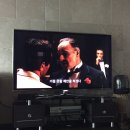 여주-0931 | MM + 20 : 마지막 오또상