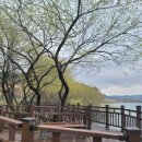 신풍매운탕 이미지