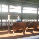 명성농장 이미지