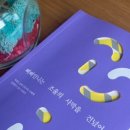 삐삐언니