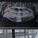 분당그린약국 이미지