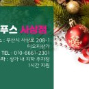 레푸스 사상점 이미지