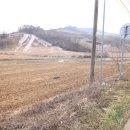 변약초 이미지