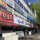 상무지구현지인맛집 광주이모카세로 유명한 동이네막걸리 솔직후기 예약꿀팁