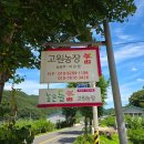 제17회 순천명품 월등 복숭아 체험행사 | 순천 월등복숭아 맛집 높은들고원농장 황도 딱복 구매 후기