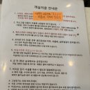 여수 디마레 루나D-03 풀빌라 후기