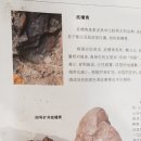 지유명차영종점