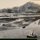 김*은 - 안양시 동안구 호성로 8 | 김*은