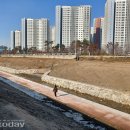 삼미천 이미지