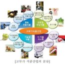 347-모도 추분데 잘 지네닜껴 이미지