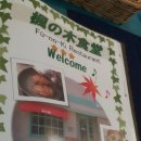 나무식당 이미지