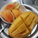 마라무적 이미지