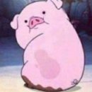 우짜든지투어 이미지