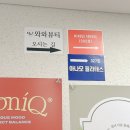 6885 | [서울/송파] 문정동왁싱 와와뷰티 저통증 저자극 프리미엄 라이콘 왁싱 후기