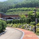 진안고원치유의숲 이미지