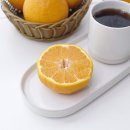 송지농장 이미지